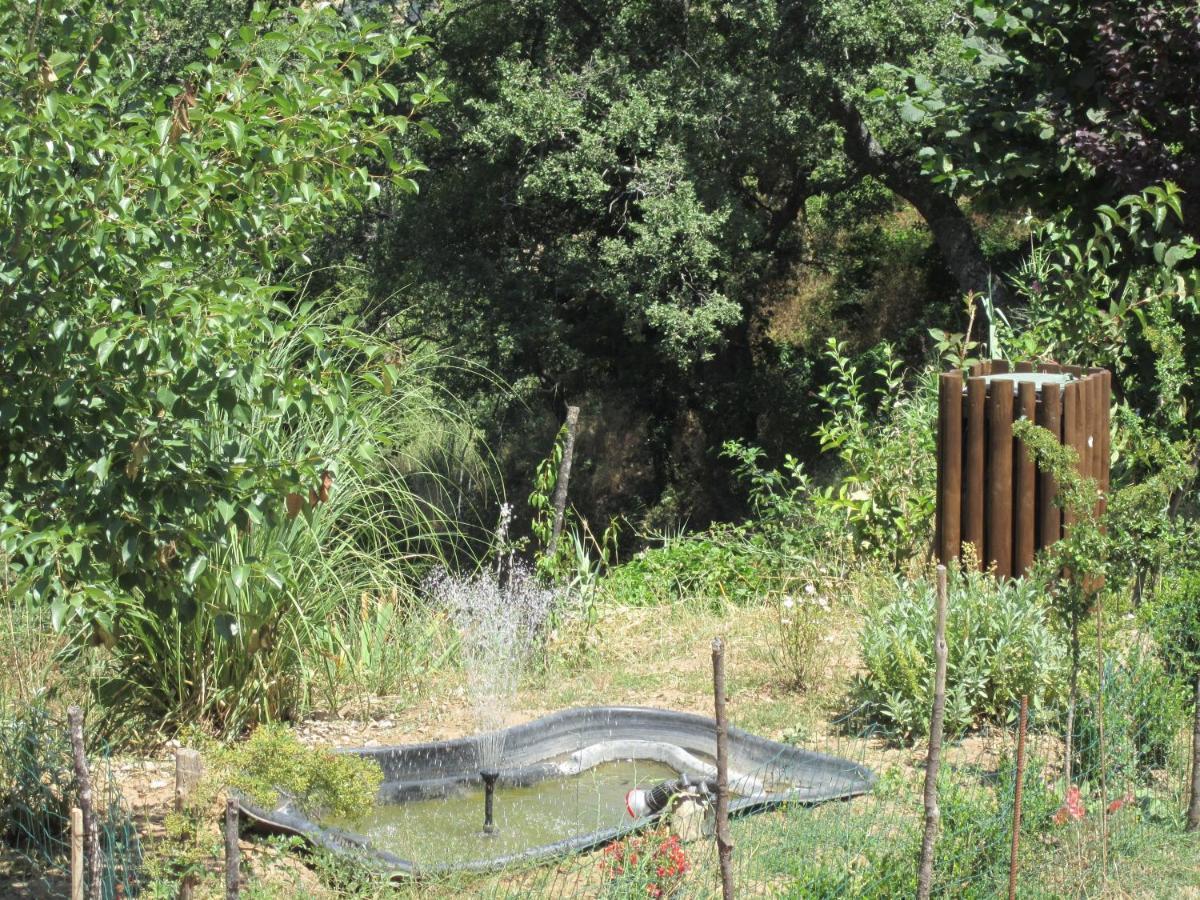 Agriturismo Grotta Dell'Eremita Albano di Lucania Eksteriør bilde